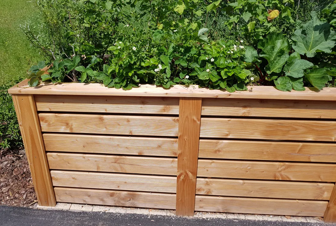 Lärchen Gartenprojekte